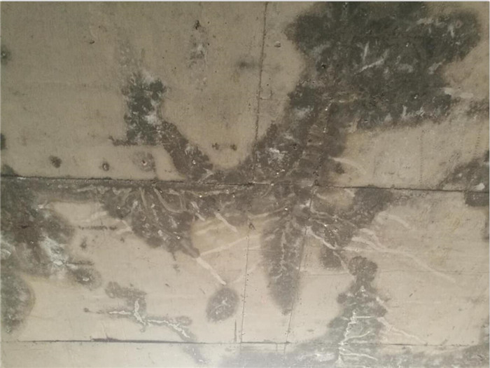 屋面防水工程的重要性